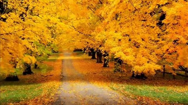 Azazello - Осень. Пестрый ковер