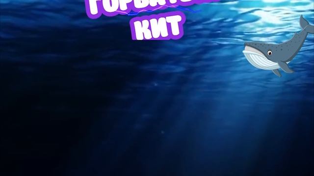 Аделинка и Матвей играют с Морскими обитателями. Морские обитатели Коллекта смотреть онлайн