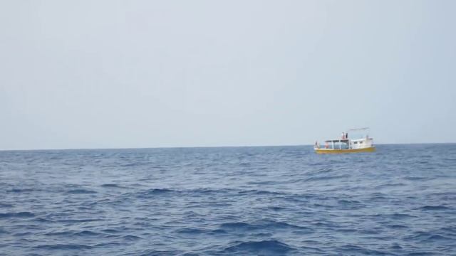 Голубой кит