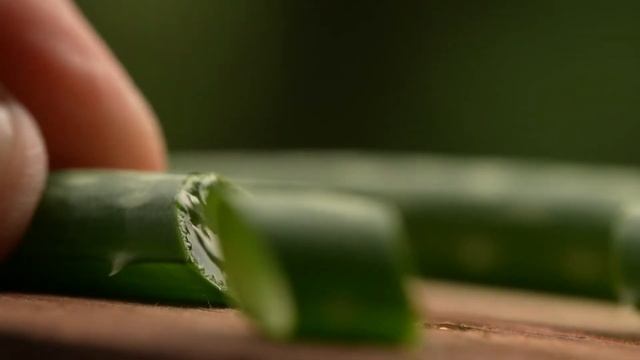 How To Make Homemade Hair Growth Shampoo | Aloe Vera Gel | Recipes For DIY Hair Shampoos