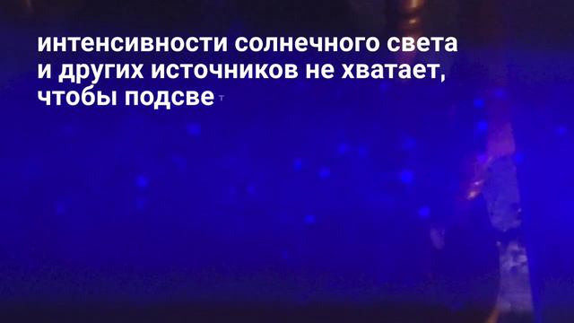 Мы живём в океане незримой микроматерии. Как рыбы в воде, в нём рождаемся, трудимся и растворяемся. смотреть онлайн