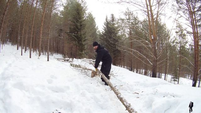 №13 В тайге строю укрытие, без гвоздей. На своём участке смотреть онлайн