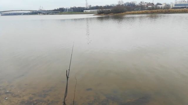 Рыбалка поздней Осенью,крупная краснопёрка,Щука на живца смотреть онлайн