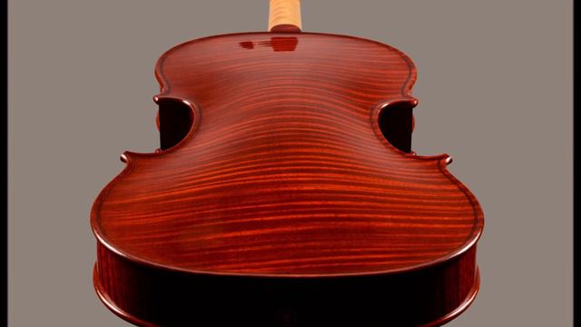 Violino  Davide Sora 2019
