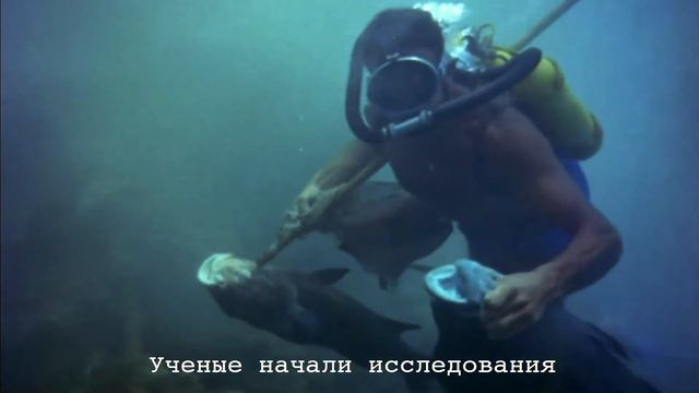 ПРЕКОНТИНЕНТ: тайны, исследования, противостояние смотреть онлайн