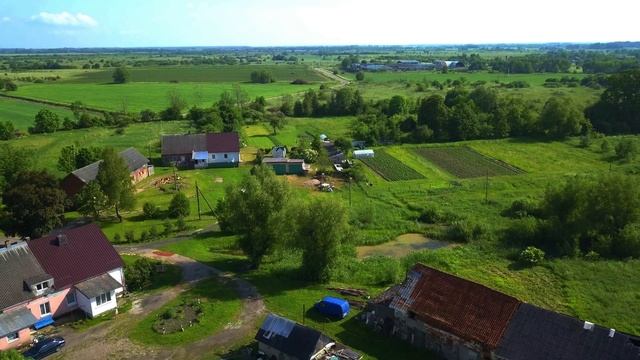 4K. Всходы. Полесский район. Калининградская область