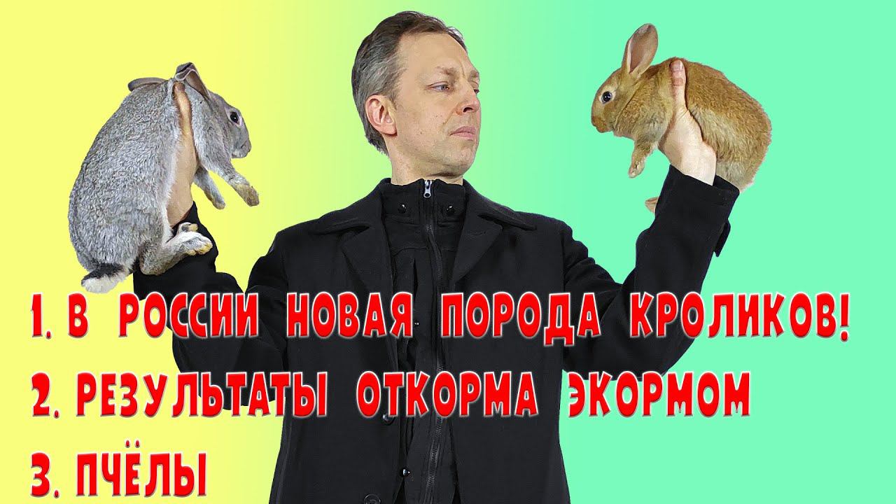 Новая порода кроликов! Результаты откорма смотреть онлайн