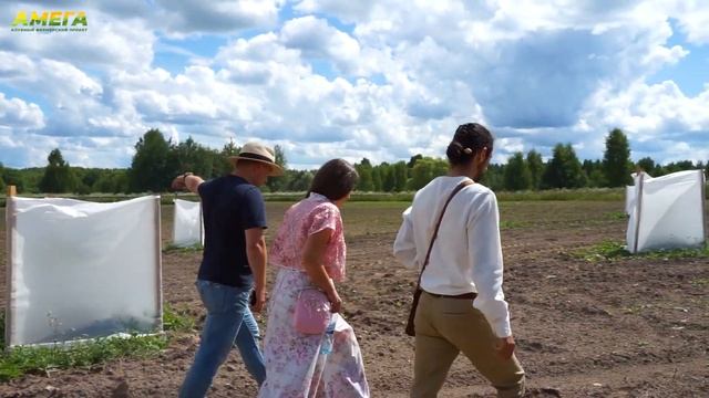 Пример лесосада в Калужской области смотреть онлайн