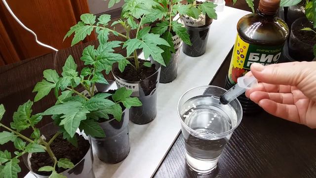 ВНЕКОРНЕВАЯ подкормка НАТУРАЛЬНЫМИ удобрениями с микроэлементами смотреть онлайн