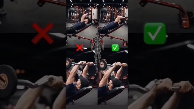 Gym Workout Triceps Gym Exercise Positions