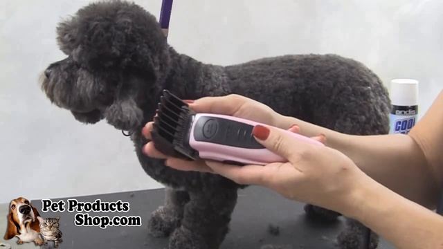 PetProductsShop - Andis Easy Clip Clipper Kit смотреть онлайн