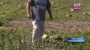 Соль Илецк из Екатеринбурга вместе с АРТ трэвэл