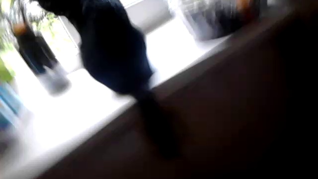 Ловись рыбка большая, ловись рыбка маленькая... смотреть онлайн