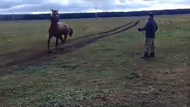 Буденовец смотреть онлайн