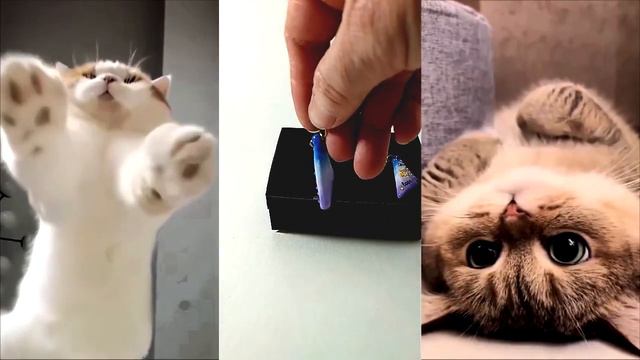 Бижунейл - серьги треугольные со стразами «Я люблю кошек» ручной работы смотреть онлайн