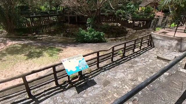 По дорожкам открытого зоопарка Кхао Кхео, Паттайя смотреть онлайн