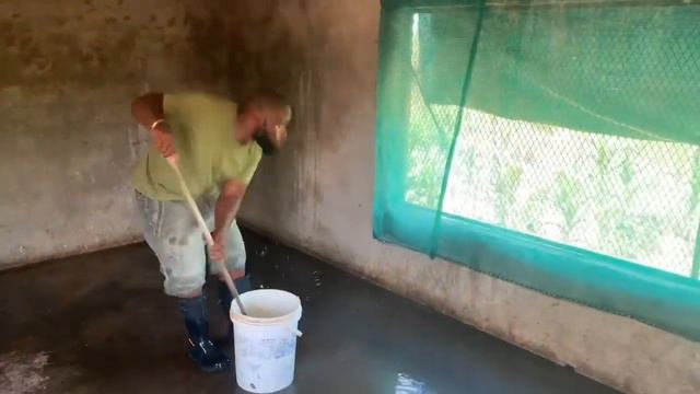 how to clean a small chicken farm house | broiler chicken смотреть онлайн