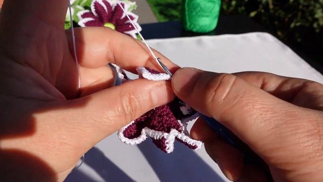Tutorial Crisantemo Margherita all'uncinetto смотреть онлайн