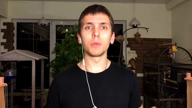 Отношения на расстоянии. Как сохранить отношения в сети? смотреть онлайн