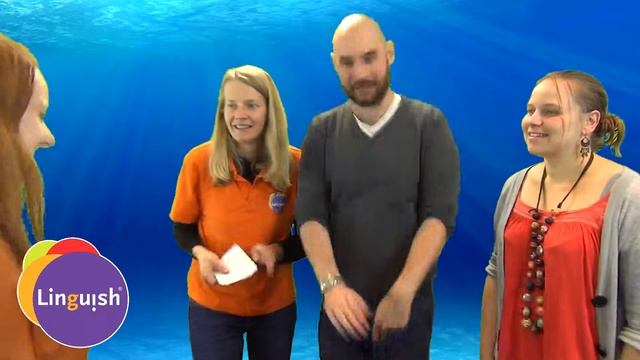 Linguish ESL Games // Who am I? // LT412 смотреть онлайн