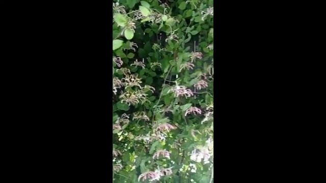 5 часов утра 15 мая 2022 года. смотреть онлайн