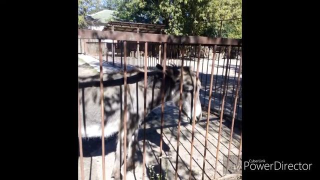 Как я провёл лето! Ч.1 смотреть онлайн