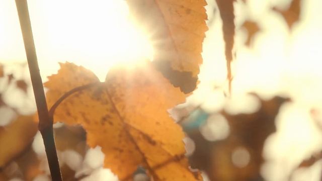 Сквер метро Заречная | Нижний Новгород 2020 смотреть онлайн