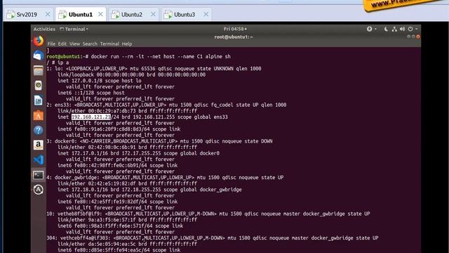 Swarm - Драйвера Network смотреть онлайн