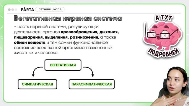 Парасимпатическая нервная система