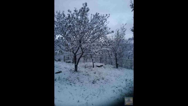 Дом 90 кв.м с живописным видом на горы смотреть онлайн