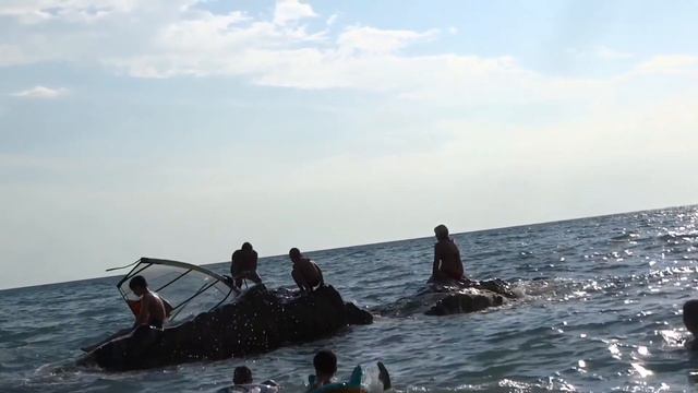 Агой серфингист под парусом смотреть онлайн