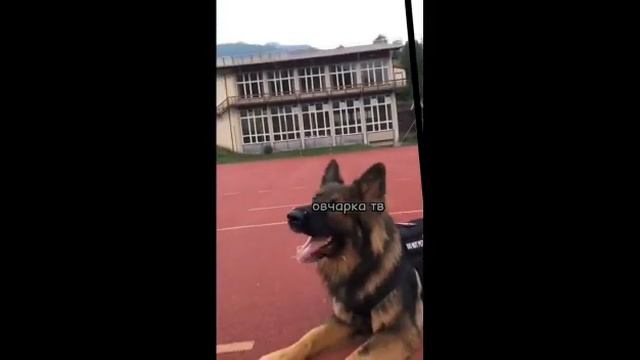 3 самых к лассных моих видео смотреть онлайн