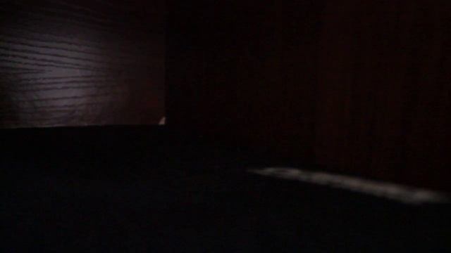 Архитектурные Вдохновения