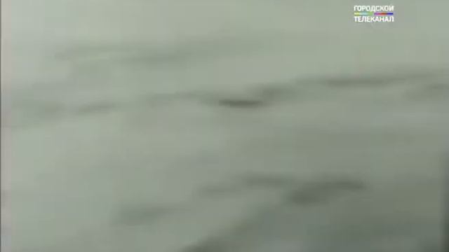 Трое детей из Ярославской области застряли в Краснодарском крае смотреть онлайн