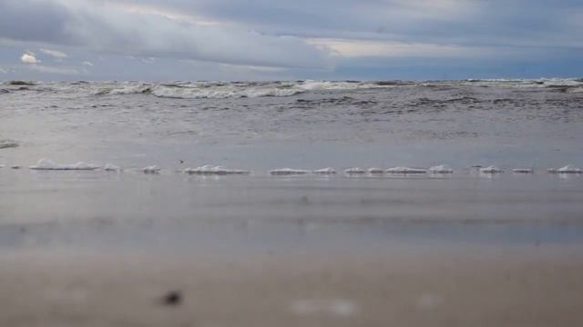 Чайка и волны. смотреть онлайн