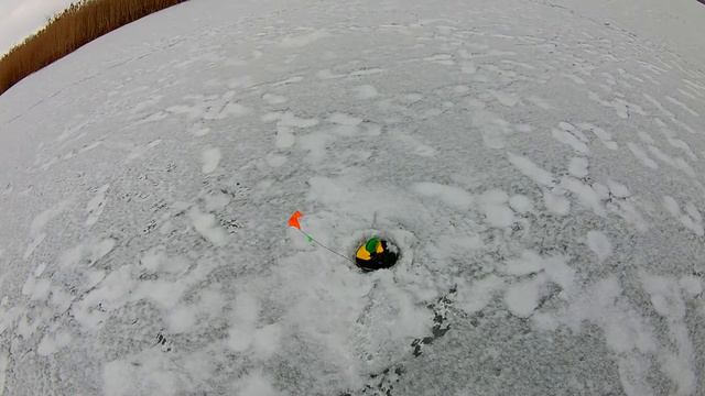 Щука не лезет в лунку) смотреть онлайн