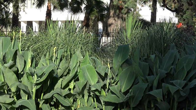 Лазаревское "БИРЮЗА" 4К(полный экран) смотреть онлайн