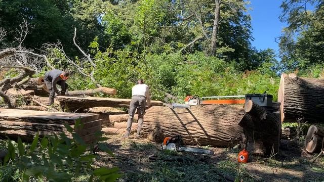 Extremely Dangerous Chainsaw Idiots смотреть онлайн