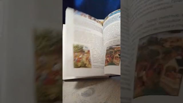 Книги только книги # 13 / ПОЛНЫЙ ОБЗОР КОЛЛЕКЦИИ КНИГ : РОСМЭН : ДЕТСКАЯ ЭНЦИКЛОПЕДИЯ / 2019 смотреть онлайн