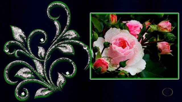 Королева цветов. 2 вариант. смотреть онлайн