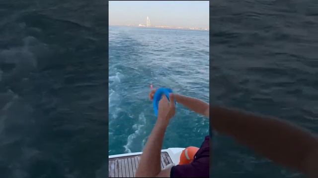 БЕЗУМНЫЙ опыт рыбалки на яхте раскрыт - вы не поверите, где! смотреть онлайн