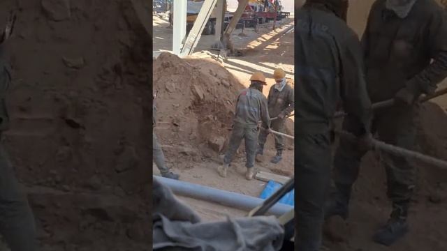 Трезвый водитель