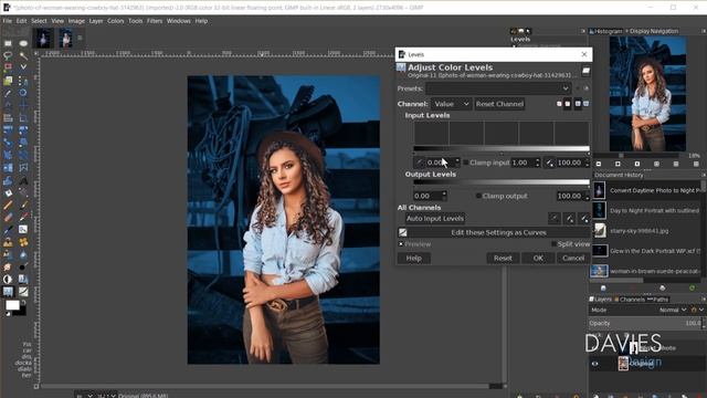 Day Photo ☀️ To Night Photo ? Image Manipulation In GIMP