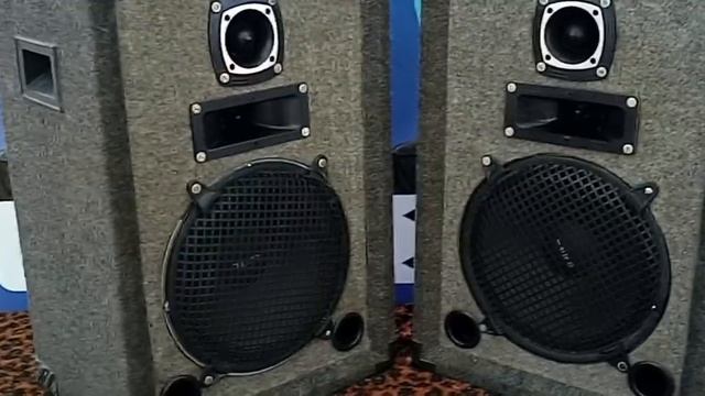 Bafles 12" 250W max. (150 W RMS) смотреть онлайн