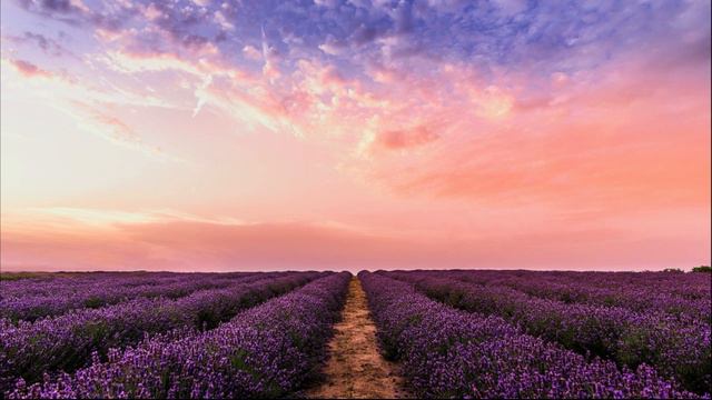 Relaxing music #28 | Calm your mind | Peaceful Sleep | 2020 (Listen Now!!) смотреть онлайн