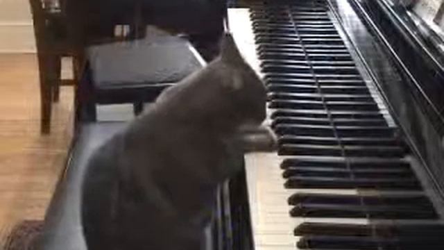 Правильная постановка рук смотреть онлайн