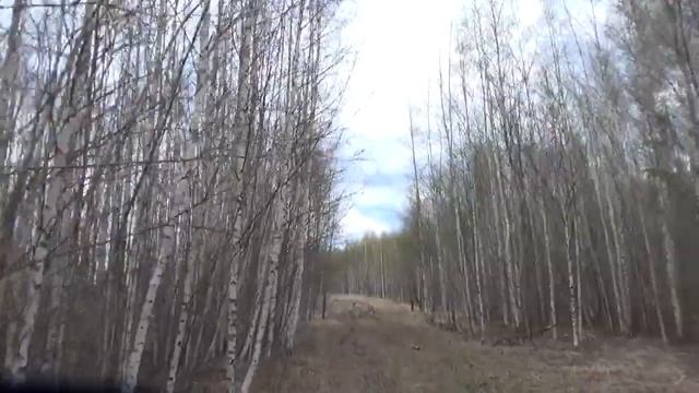 Очередная поездка за металлоломом. смотреть онлайн