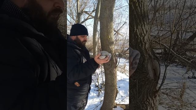 Как и из чего в лесу добыть горючую жидкость смотреть онлайн