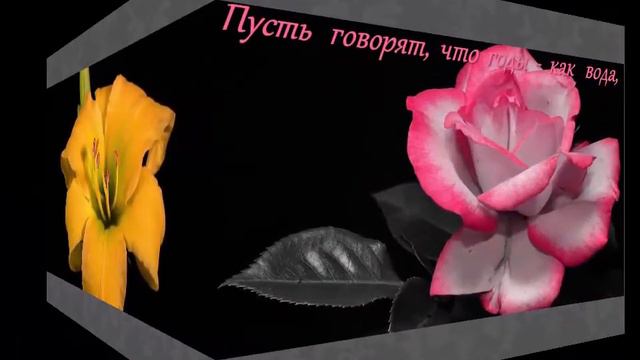 Сонечке поздравление с Днём рождения смотреть онлайн