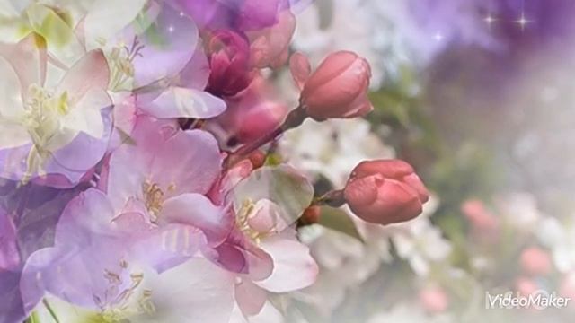 Поздравление с Днем 8 Марта. Отделение интенсивного ухода. ГБССУ СО ГПВИ "Волгоградский ПНИ" смотреть онлайн